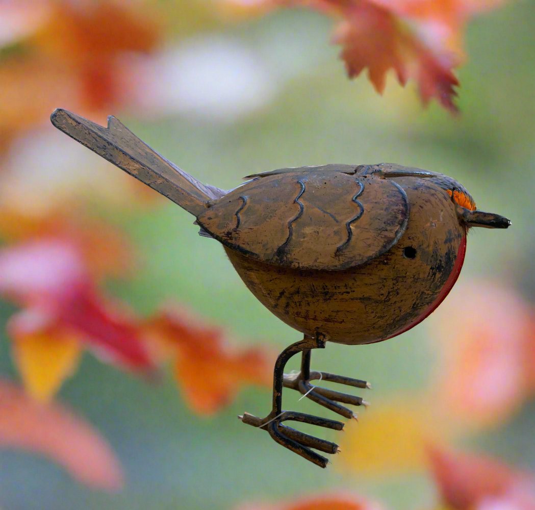 Rodney Robin