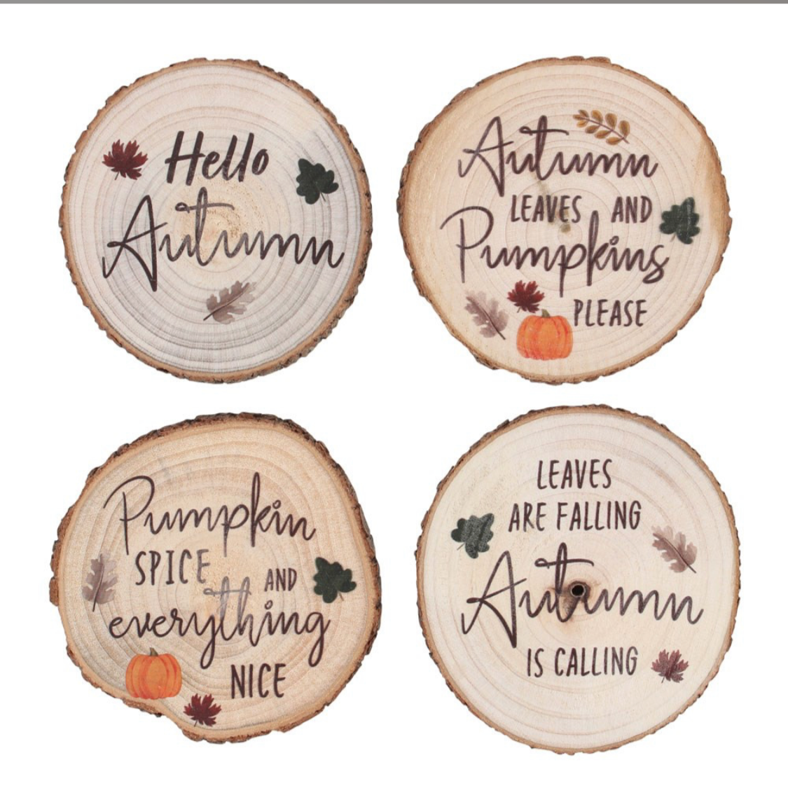 Hello Autumn Coaster Bundle