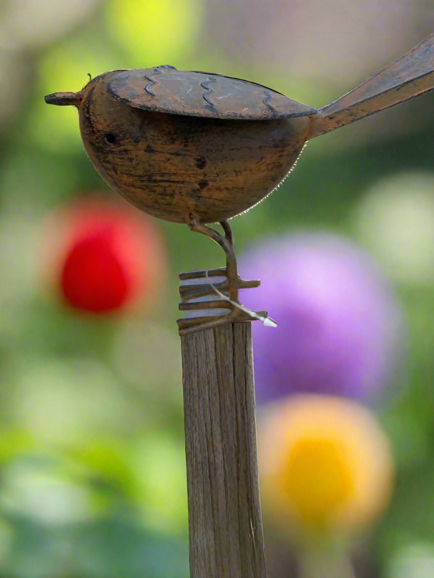 Rodney Robin