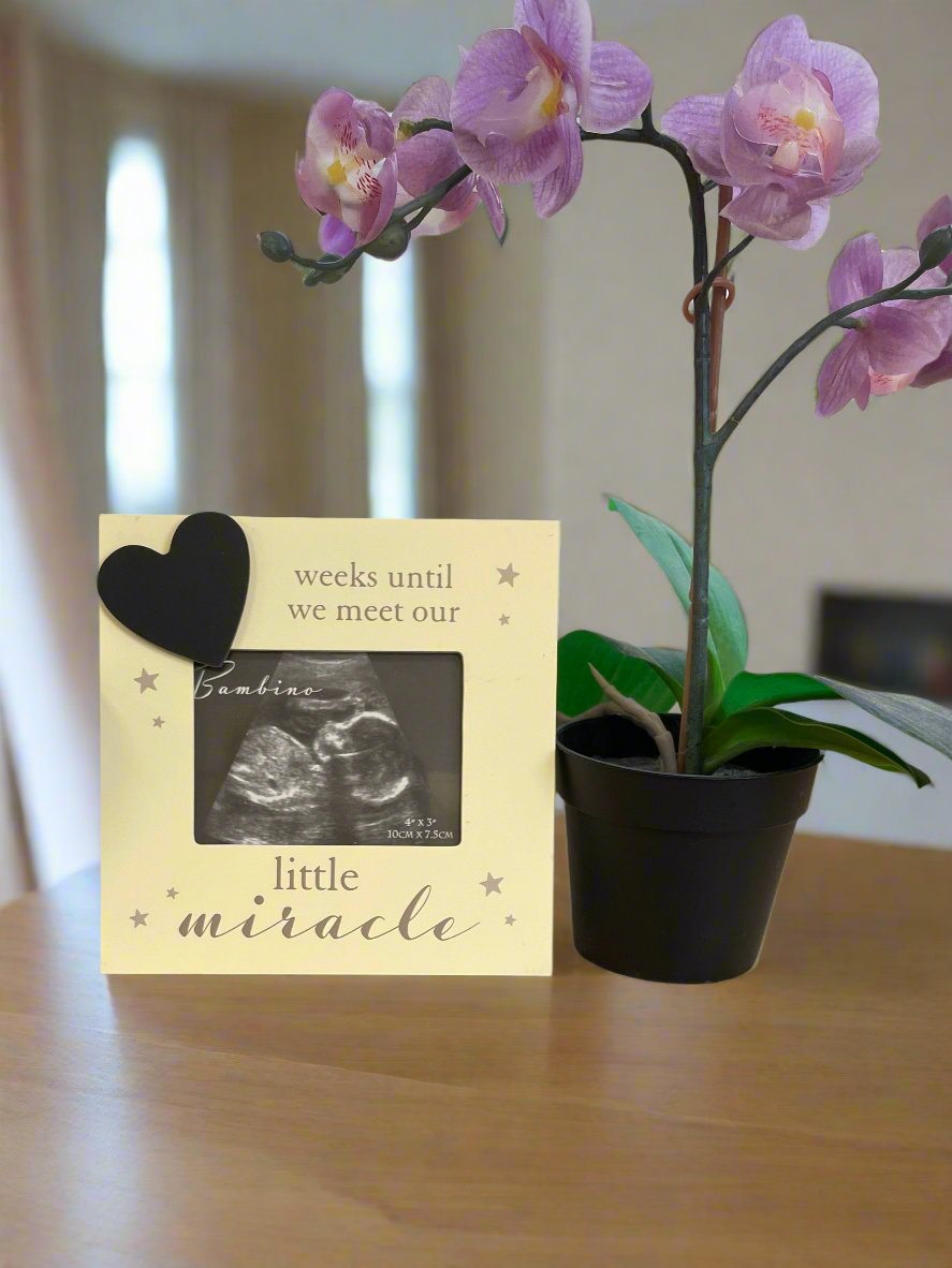 Baby Countdown Photo frame