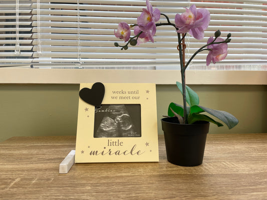 Baby Countdown Photo frame