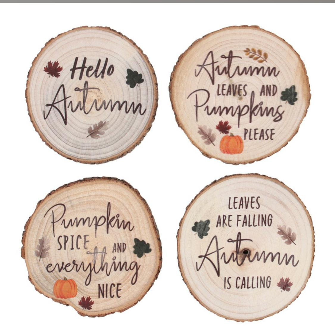 Hello Autumn Coaster Bundle