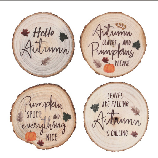 Hello Autumn Coaster Bundle