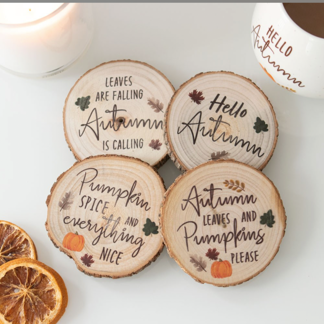 Hello Autumn Coaster Bundle