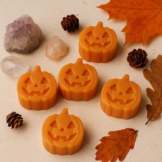 Pumpkin Spice Manifest Wax Melt🎃
